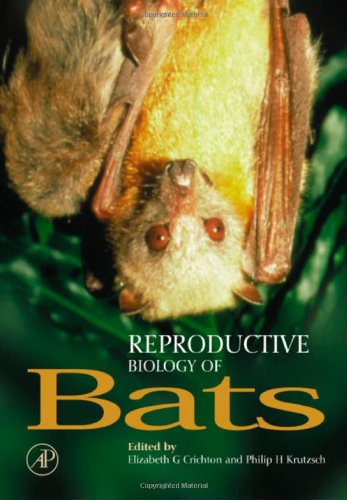 9780121956707: Reproductive Biology of Bats