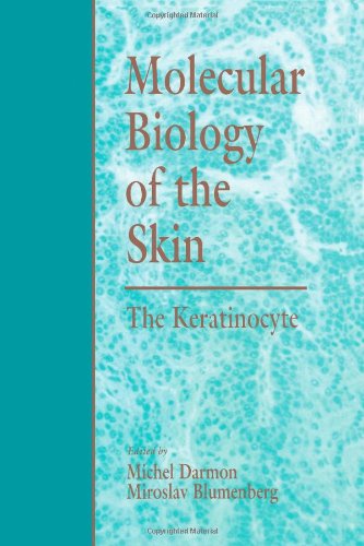 Stock image for Molecular Biology of the Skin: The Keratinocyte for sale by Lowry's Books