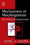 Stock image for Mechanisms of Morphogenesis for sale by Phatpocket Limited