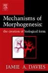 9780122046513: Mechanisms of Morphogenesis