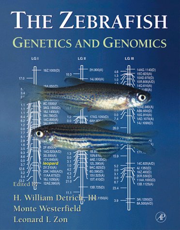 Imagen de archivo de The Zebrafish : Genetics And Genomics a la venta por Basi6 International