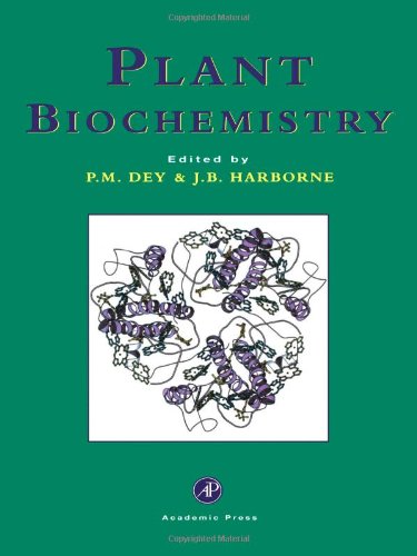 Imagen de archivo de Plant Biochemistry a la venta por SecondSale