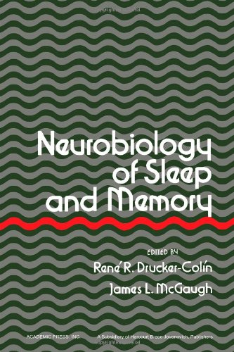 Stock image for Neurobiology of Sleep and Memory for sale by G. & J. CHESTERS