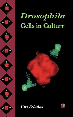 Stock image for Drosophila. Cells in Culture. for sale by Plurabelle Books Ltd