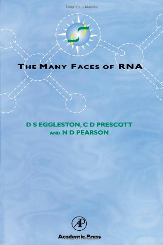 Beispielbild fr The Many Faces of RNA zum Verkauf von WorldofBooks