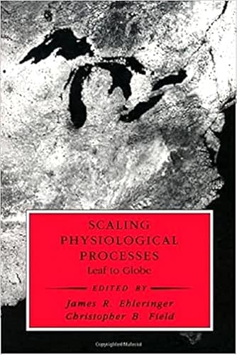 Imagen de archivo de Scaling Physiological Processes : Leaf to Globe a la venta por Better World Books