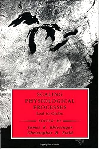 Stock image for Scaling Physiological Processes : Leaf to Globe for sale by Better World Books