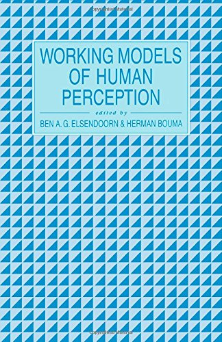 Working models of human perception