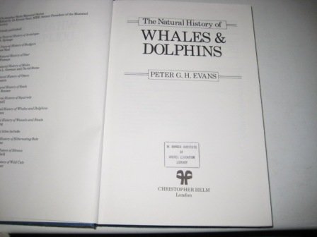 Beispielbild fr The Natural History of Whales and Dolphins (Christopher Helm Mammal Series) zum Verkauf von Hay-on-Wye Booksellers