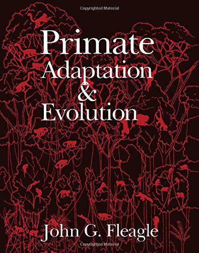9780122603402: Primate Adaptation and Evolution