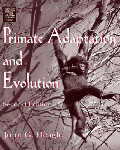 Stock image for Primate Adaptation and Evolution for sale by Reuseabook