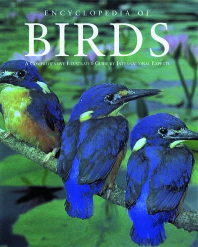 Stock image for Encyclopedia of Birds for sale by ThriftBooks-Atlanta