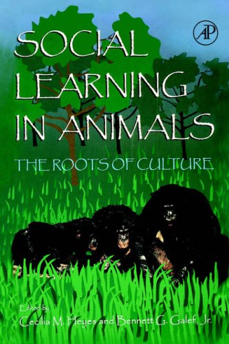 Stock image for Social Learning In Animals: The Roots of Culture for sale by HPB-Red