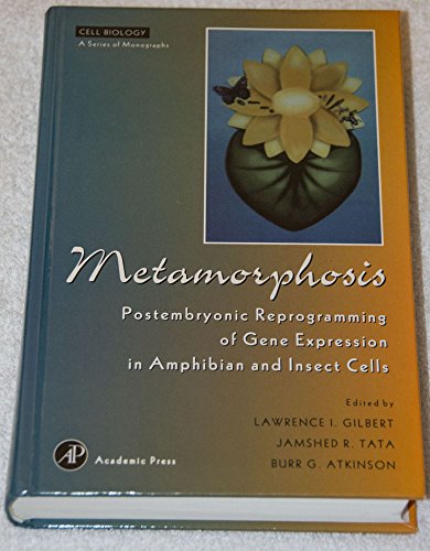 9780122832451: Metamorphosis,: Postembryonic Reprogramming of Gene Expression in Amphibian and Insect Cells (Cell Biology)