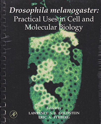 Beispielbild fr Drosophila Melanogaster: Practical Uses in Cell and Molecular Biology (Methods in Cell Biology) (v. 44) zum Verkauf von Better World Books