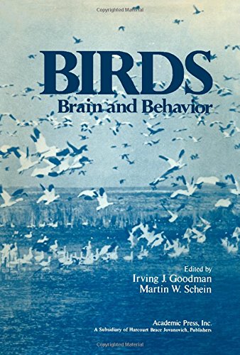Stock image for Birds: Brain and Behavior for sale by ThriftBooks-Atlanta