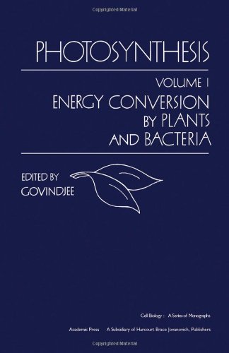 Stock image for Photosynthesis Vol. 1 : Vol. 1: Energy Conversion by Plants and Bacteria for sale by Better World Books