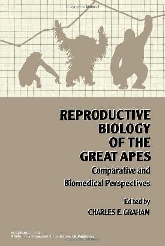 9780122950209: Reproductive Biology of the Great Apes: Comparative and Biomedical Perspectives