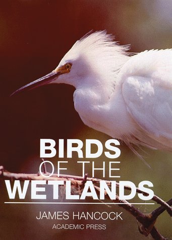 Beispielbild fr Birds of the Wetlands (Natural World) zum Verkauf von HALCYON BOOKS