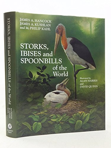 Beispielbild fr Storks, Ibises and Spoonbills of the World zum Verkauf von Wildside Books