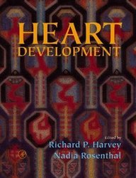 Beispielbild fr Heart Development zum Verkauf von HPB-Red