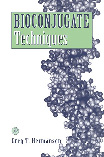 Stock image for Bioconjugate Techniques for sale by thebookforest.com