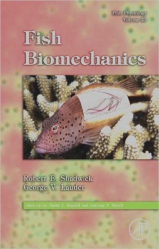 Beispielbild fr Fish Physiology: Fish Biomechanics: Volume 23 zum Verkauf von Chiron Media