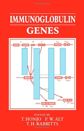 Imagen de archivo de Immunoglobulin Genes a la venta por ThriftBooks-Atlanta