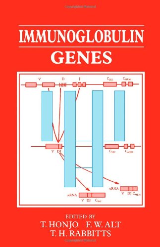 9780123548658: Immunoglobulin Genes