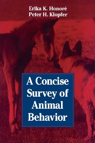 9780123550651: A Concise Survey of Animal Behavior