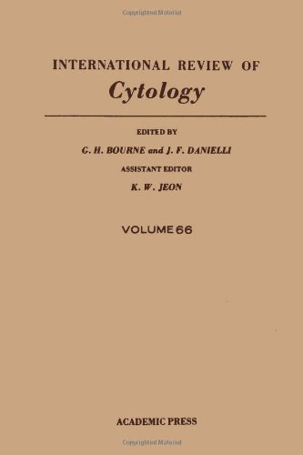Beispielbild fr International Review of Cytology zum Verkauf von Better World Books