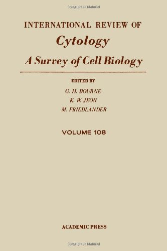 Stock image for International Review of Cytology Vol. 154: A Survey of Cell Biology for sale by ThriftBooks-Atlanta