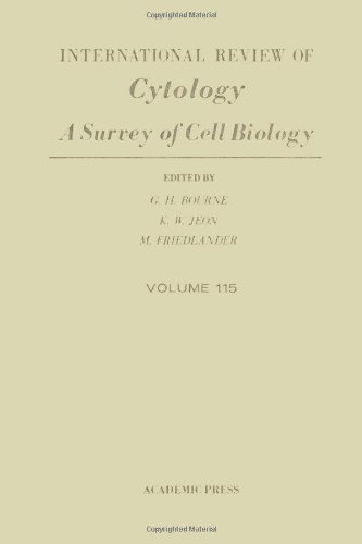 Stock image for International Review of Cytology: A Survey of Cell Biology: Vol 115 for sale by Cambridge Rare Books