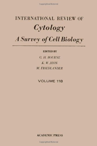 Stock image for International Review of Cytology Vol. 118 : A Survey of Cell Biology for sale by Better World Books