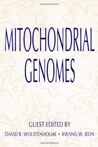 Stock image for INTERNATIONAL REVIEW OF CYTOLOGY, Volume 141: A Survey of Cell Biology, Mitochondrial Genomes for sale by RiLaoghaire