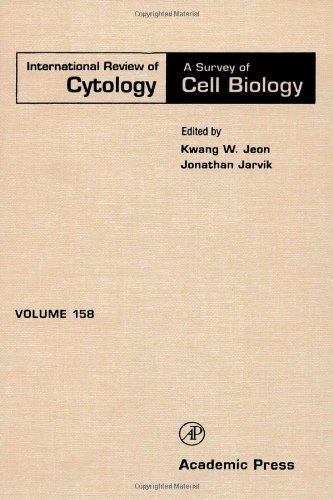 Stock image for International Review of Cytology: A Survey of Cell Biology, Volume 158 for sale by Tiber Books