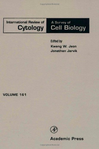 Stock image for International Review of Cytology: A Survey of Cell Biology, Volume 161 for sale by Tiber Books