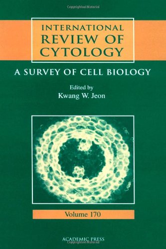 Stock image for International Review of Cytology: A Survey of Cell Biology (Volume 170) (International Review of Cell and Molecular Biology, Volume 170) for sale by ThriftBooks-Atlanta