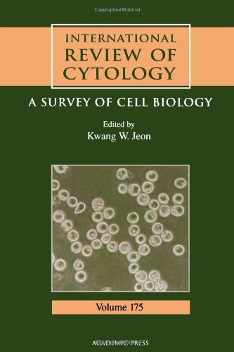 Stock image for International Review of Cytology: A Survey of Cell Biology, Volume 175 for sale by Tiber Books