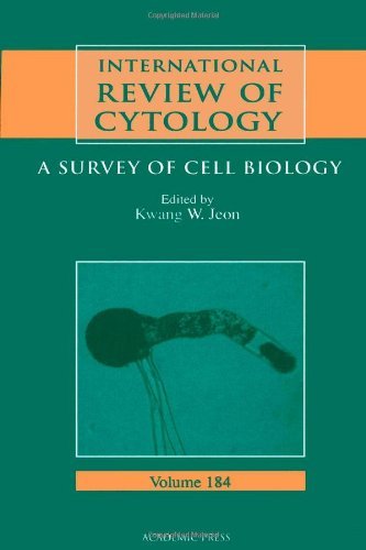 Stock image for International Review of Cytology: A Survey of Cell Biology, Volume 184 for sale by Tiber Books
