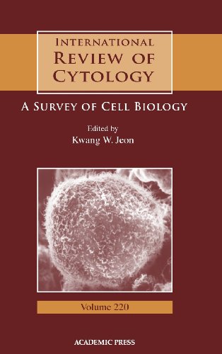 Beispielbild fr International Review of Cytology: 220 (International Review of Cytology): A Survey of Cell Biology (International Review of Cell & Molecular Biology) zum Verkauf von getbooks GmbH