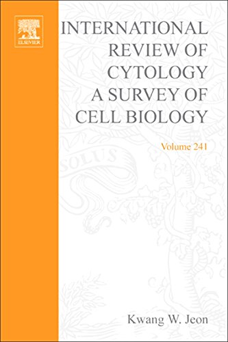 Beispielbild fr International Review of Cytology: A Survey of Cell Biology: Vol 241 (International Review of Cytology) (International Review of Cell & Molecular Biology) zum Verkauf von getbooks GmbH