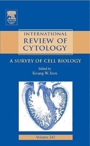 9780123646477: International Review Of Cytology: A Survey of Cell Biology (Volume 243) (International Review of Cell and Molecular Biology, Volume 243)