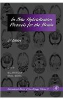 Stock image for In Situ Hybridization Protocols for the Brain: Vol 47 (International Review of Neurobiology): Volume 47 for sale by Chiron Media