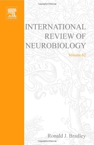 Stock image for INTERNATIONAL REVIEW OF NEUROBIOLOGY, VOLUME 62 for sale by Romtrade Corp.