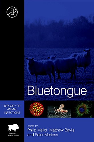 Stock image for Bluetongue (Biology of Animal Infections) for sale by WeBuyBooks