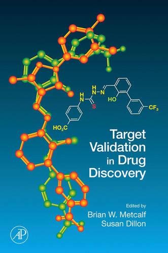 Stock image for Target Validation in Drug Discovery for sale by Wonder Book