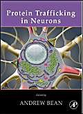 Stock image for Protein Trafficking in Neurons for sale by Revaluation Books