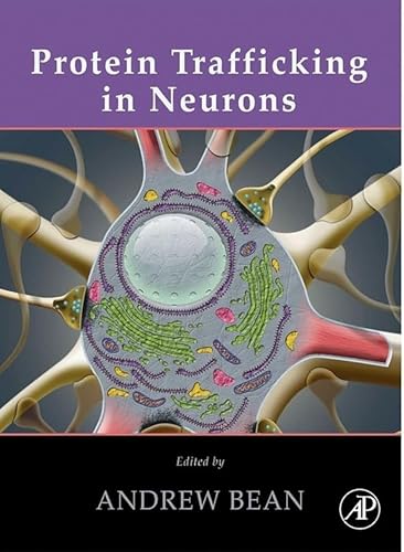 Protein trafficking in neurons