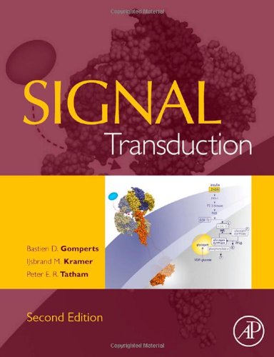 Beispielbild fr Signal Transduction zum Verkauf von Anybook.com